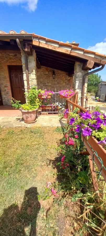Agriturismo La Casina ساتورنيا المظهر الخارجي الصورة